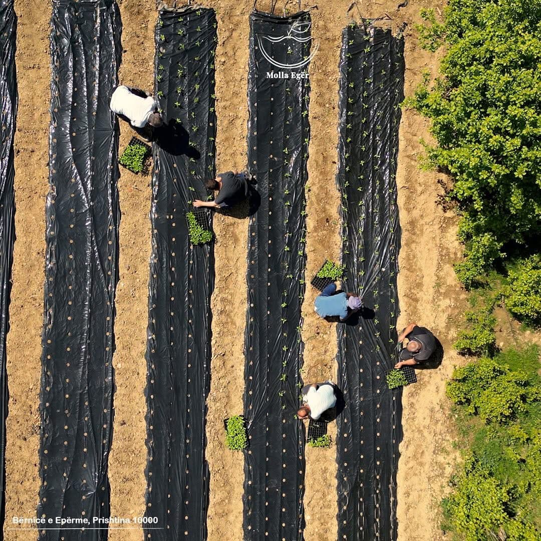 Agroculture